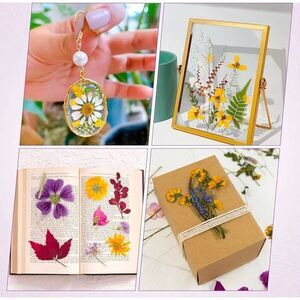 Microwave flower press